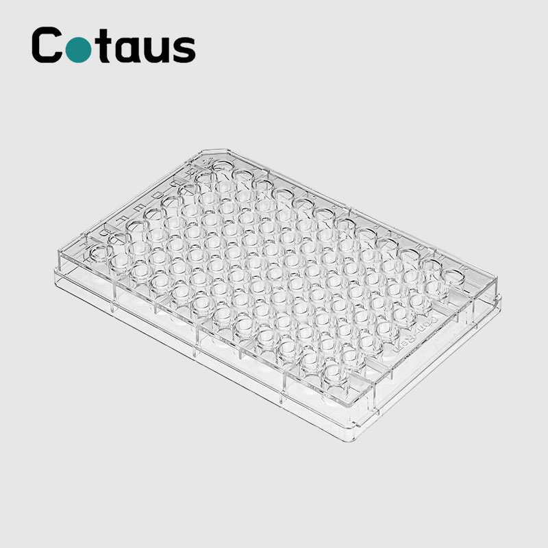 Okwu mmalite nke Elisa Plate