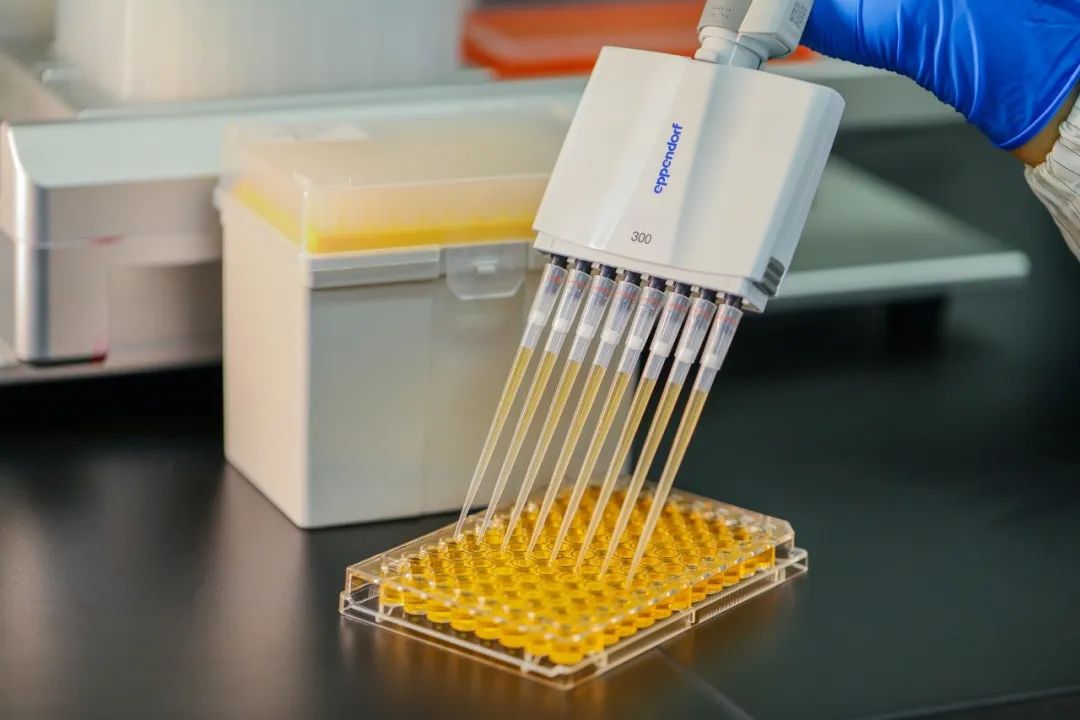 Kedu ndụmọdụ pipette ziri ezi maka gị?