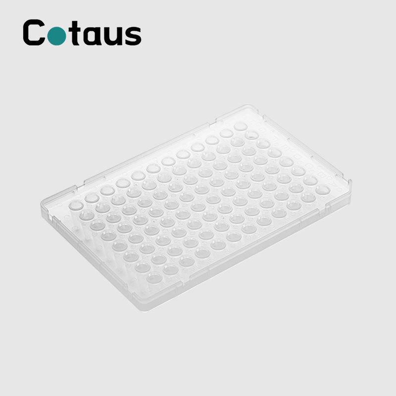 96 Ọ dị mma 0.1ml Ugboro abụọ Uwe zuru oke PCR Plate