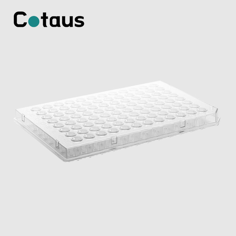 96 Ọ dị mma 0.1ml Plate Half Skirt PCR