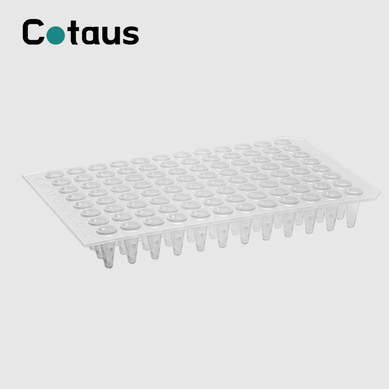 96 Ọ dị mma 0.2ml na-enweghị ntụpọ PCR Skirt